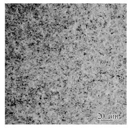 info-270-264 info-270-264