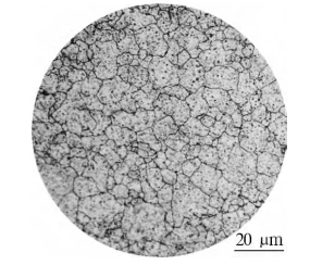 info-308-244 info-308-244